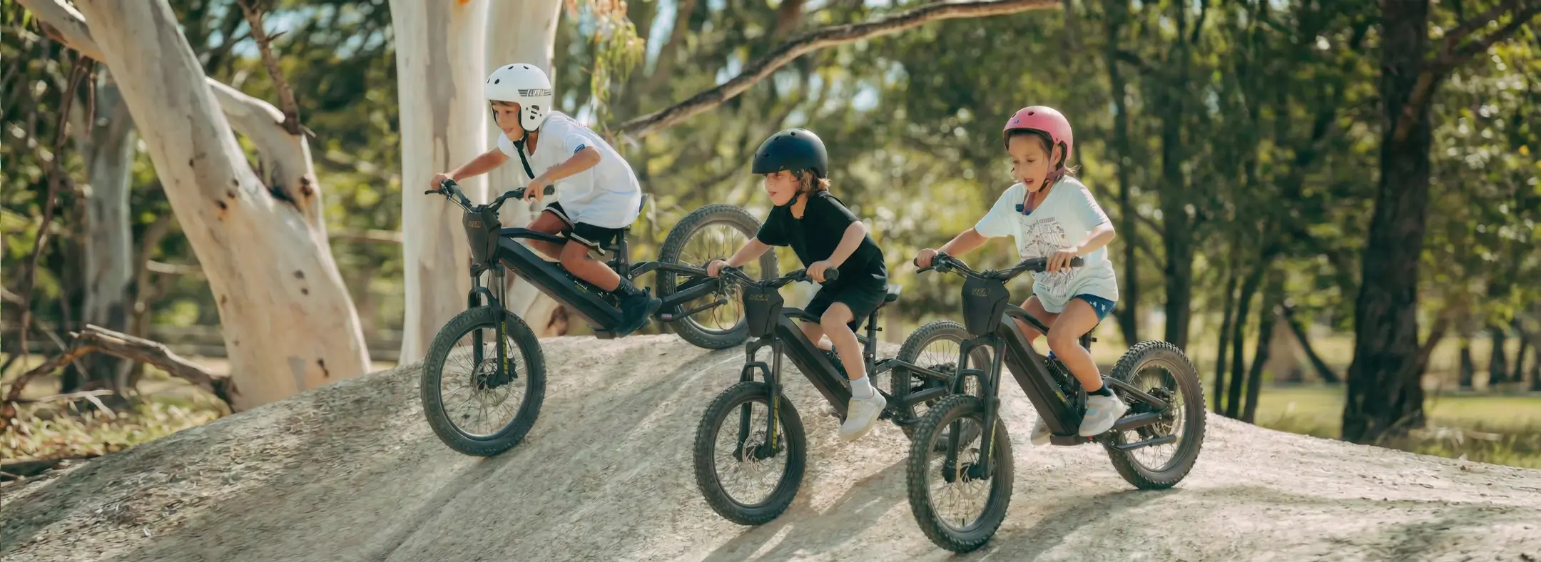 RFN ZIP 20 PRO Electric Bike